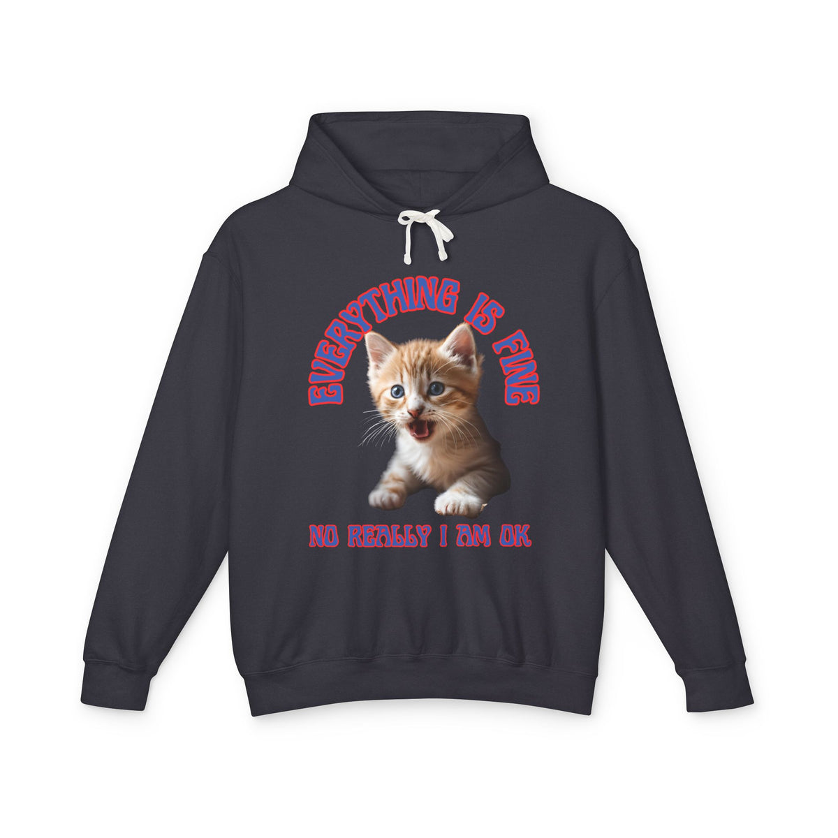 Funny Lightweight Hooded Sweatshirt - I am OK with Cute Kitten - Great Gift